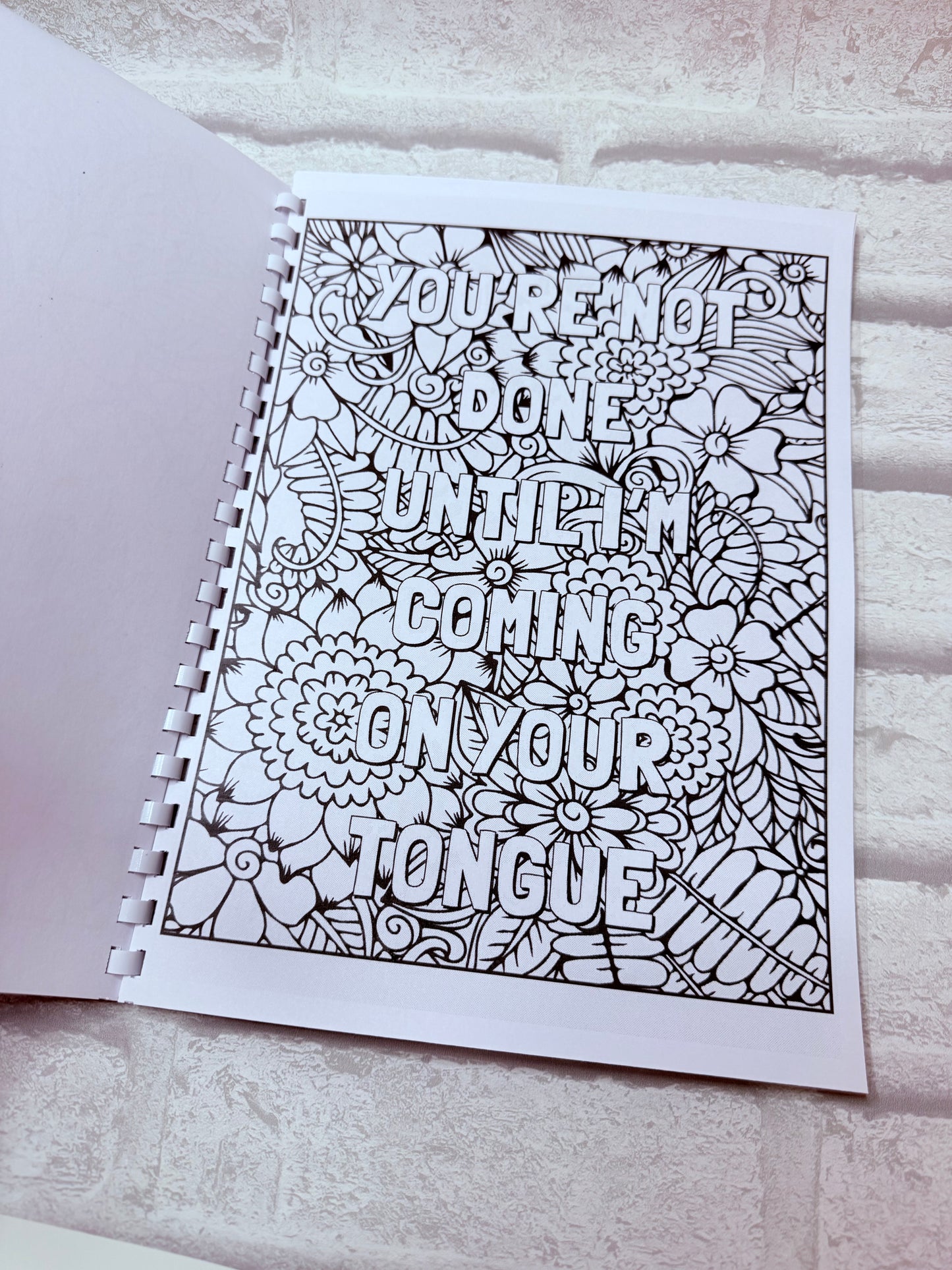 Adults Smutty Colouring Book
