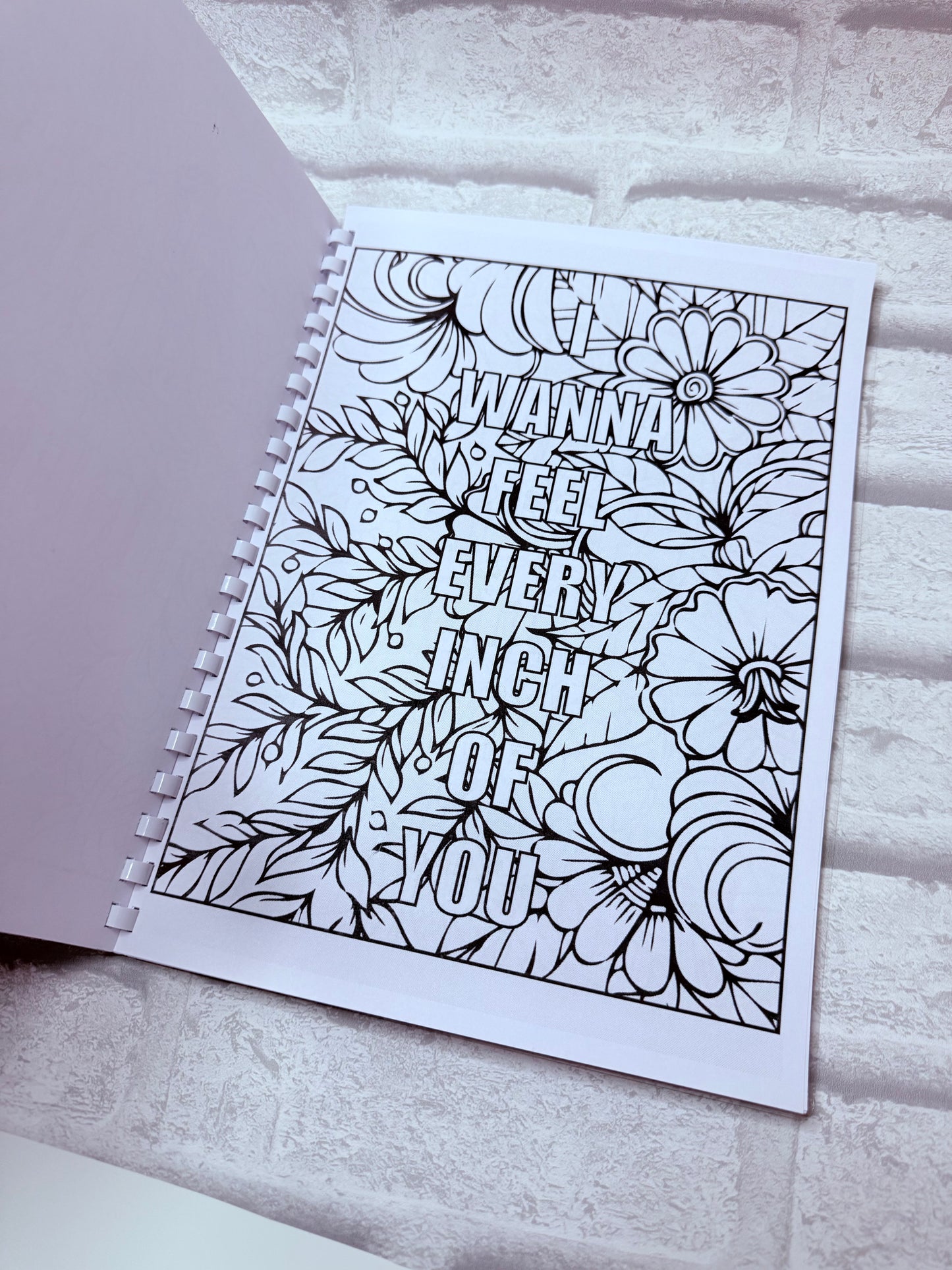 Adults Smutty Colouring Book