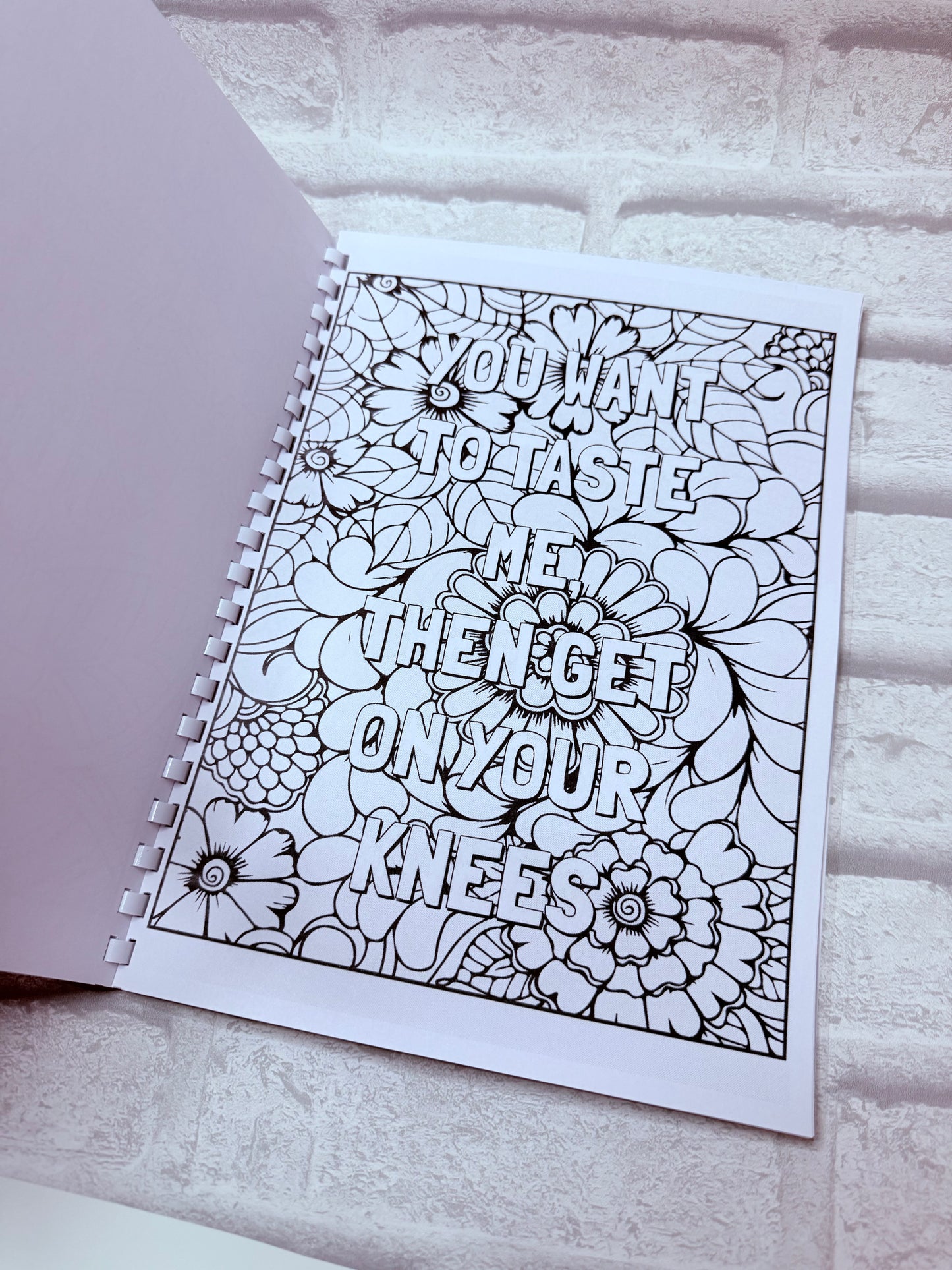 Adults Smutty Colouring Book