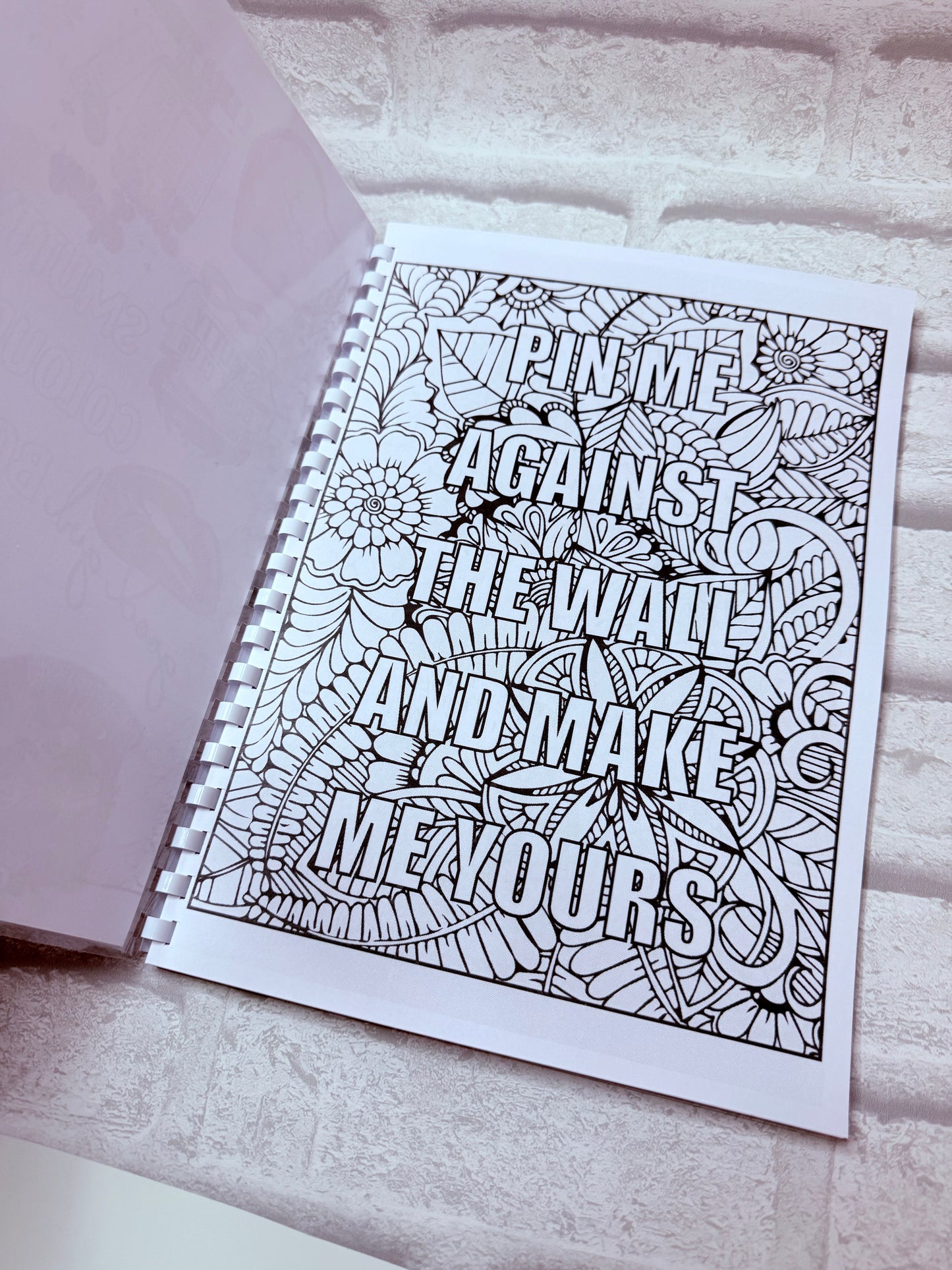 Adults Smutty Colouring Book